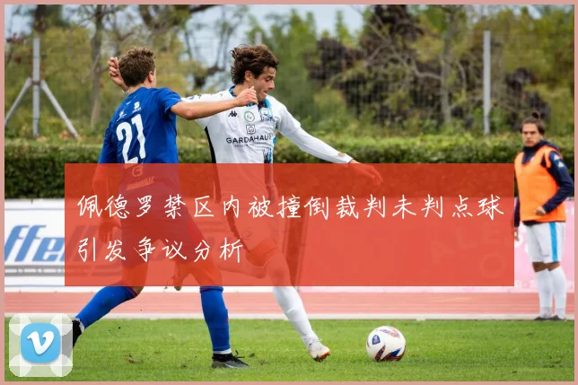 佩德罗禁区内被撞倒裁判未判点球引发争议分析