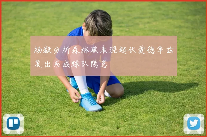 杨毅分析森林狼表现起伏爱德华兹复出或成球队隐患